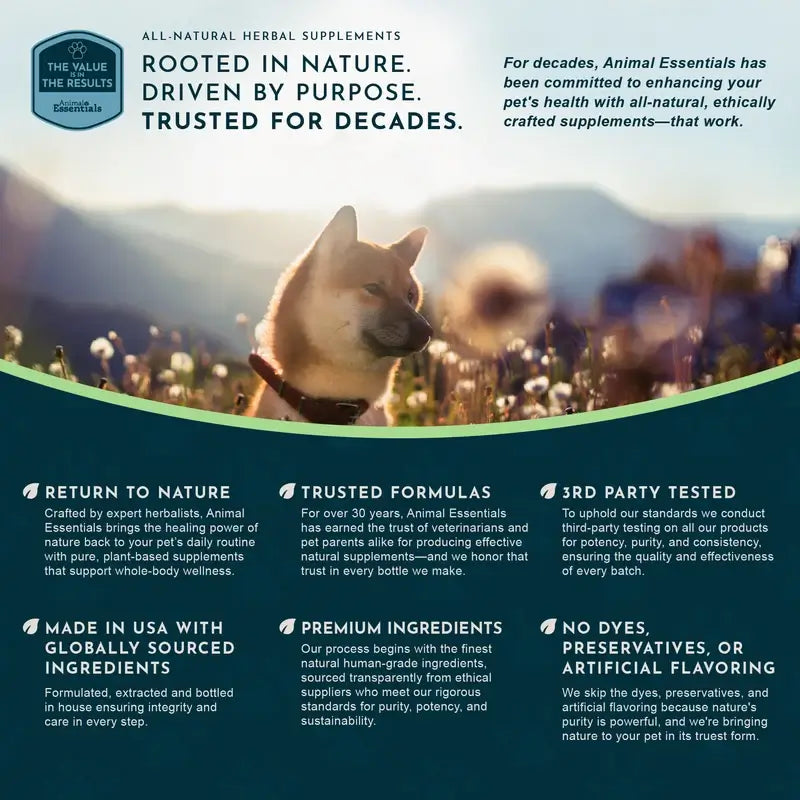 Advertisement for Animal Essentials pet supplements with a dog in a field and brand information.