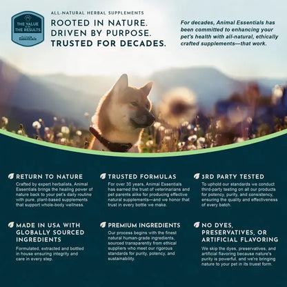 Advertisement for Animal Essentials pet supplements with a dog in a field and brand information.
