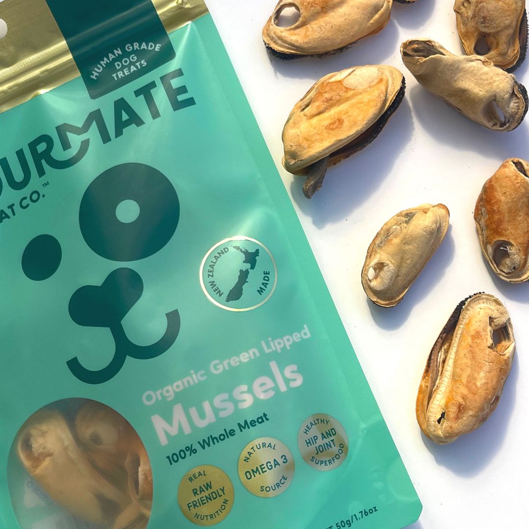 ORGANIC GREEN LIPPED MUSSELS | Joint Health Superfood