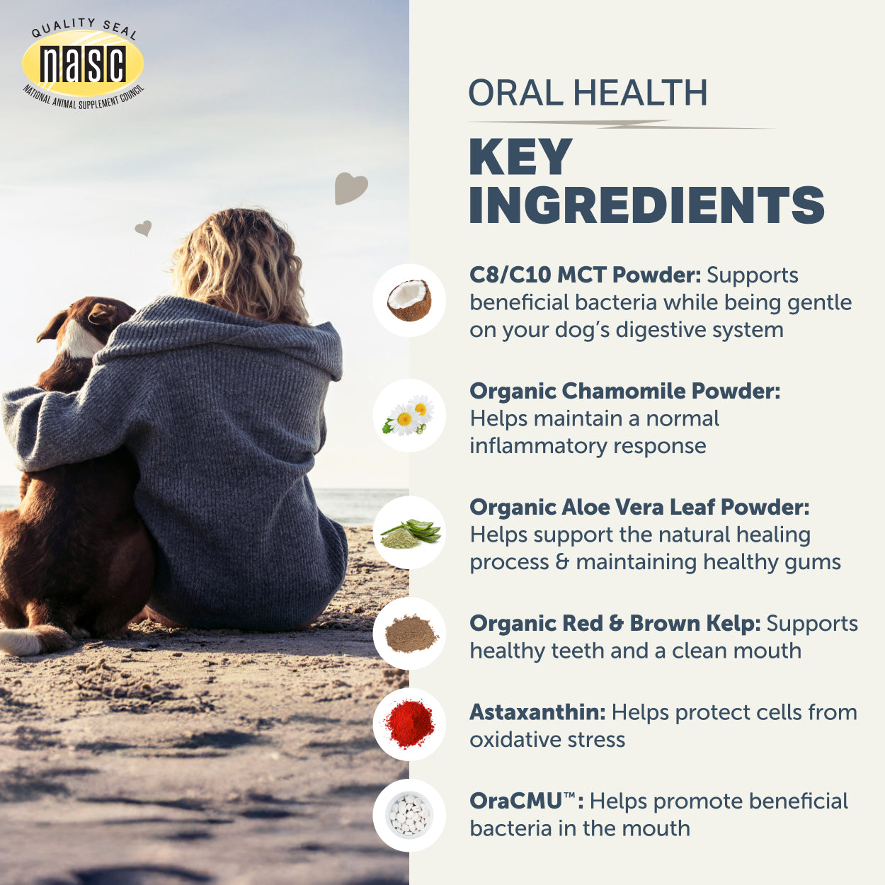 Person sitting on a beach with a dog, featuring Oral Health by Four Leaf Rover supplement ingredients list.