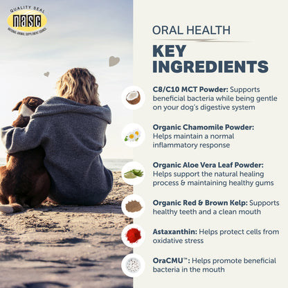 Person sitting on a beach with a dog, featuring Oral Health by Four Leaf Rover supplement ingredients list.
