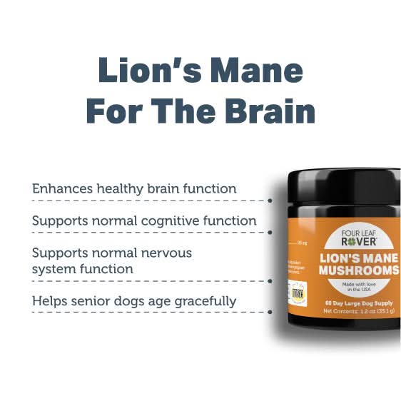 Four Leaf Rover Lion's Mane Mushrooms supplement for dogs with text about brain health benefits on a white background.