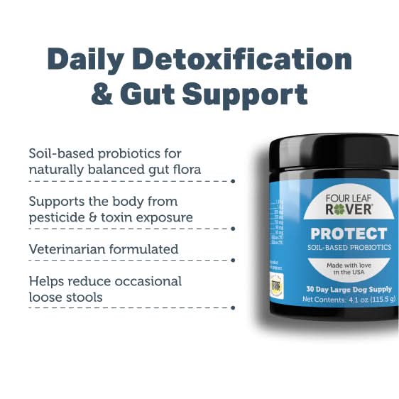 Four Leaf Rover PROTECT soil-based probiotics for dogs on a white background with text about daily detoxification and gut support.