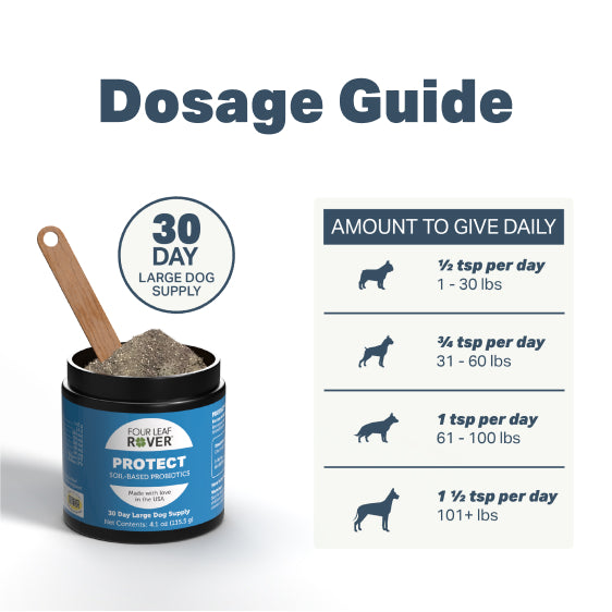 Dosage guide for Four Leaf Rover Protect pet supplement with a container and spoon on a white background