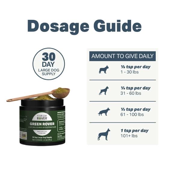 Dosage guide for Green Rover pet supplement with a container and spoon on a white background