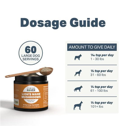 Dosage guide for Lion's Mane Mushrooms with a container and spoon on a white background