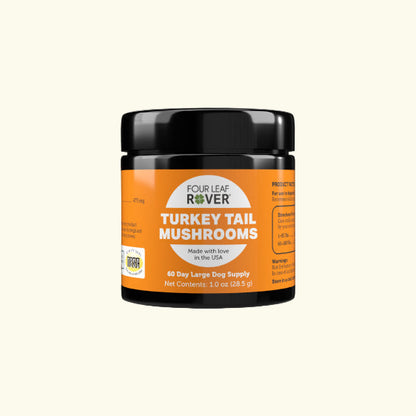 Jar of Four Leaf Rover Turkey Tail Mushrooms on a white background