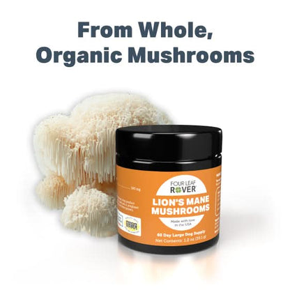 Four Leaf Rover Lion's Mane Mushrooms jar with lion's mane mushrooms on a white background