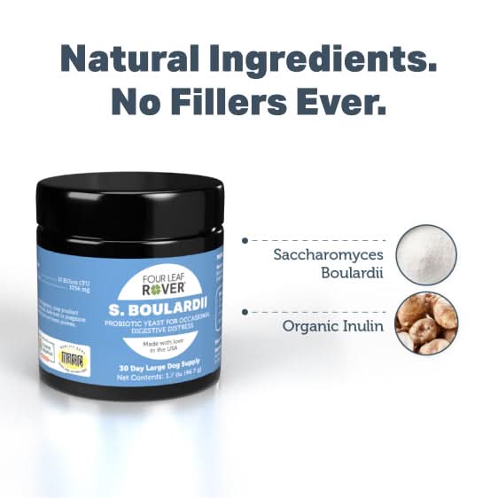 Jar of Four Leaf Rover S. Boulardii with text 'Natural Ingredients. No Fillers Ever.' on a white background