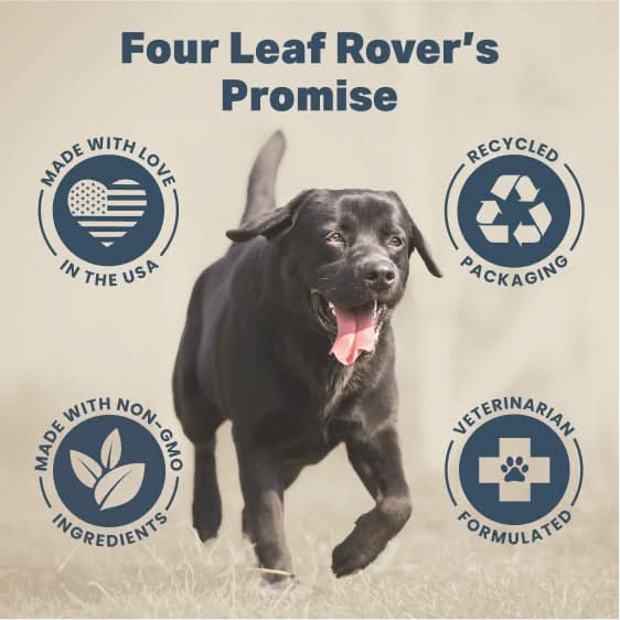 Black dog running with Four Leaf Rover's Promise icons around it on a beige background