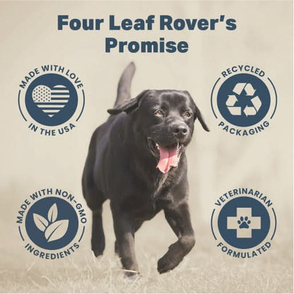 Black dog running with Four Leaf Rover's Promise icons around it on a beige background