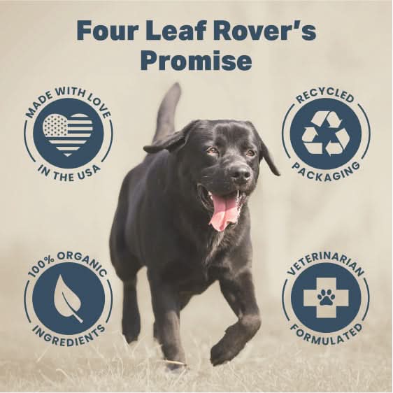 Black dog running with Four Leaf Rover's Promise icons on a beige background