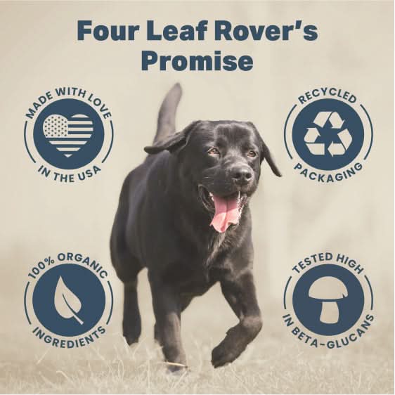 Black dog running with Four Leaf Rover's Promise icons on a beige background