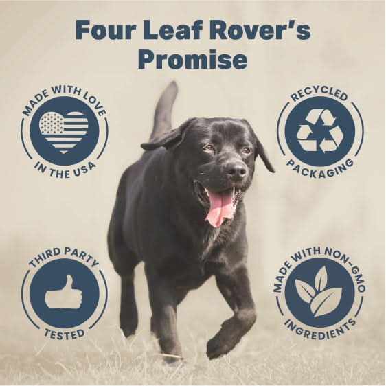 Black dog running with 'Four Leaf Rover's Promise' icons and text on a beige background