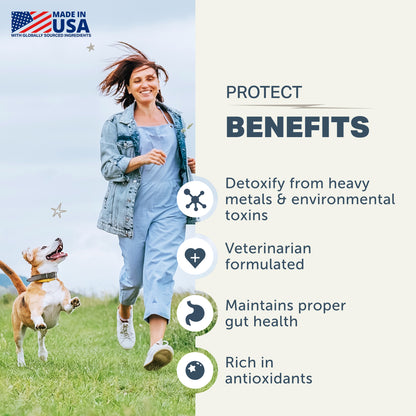 Benefits of Four Leaf Rover Protect (soil-based probiotics for dogs) 