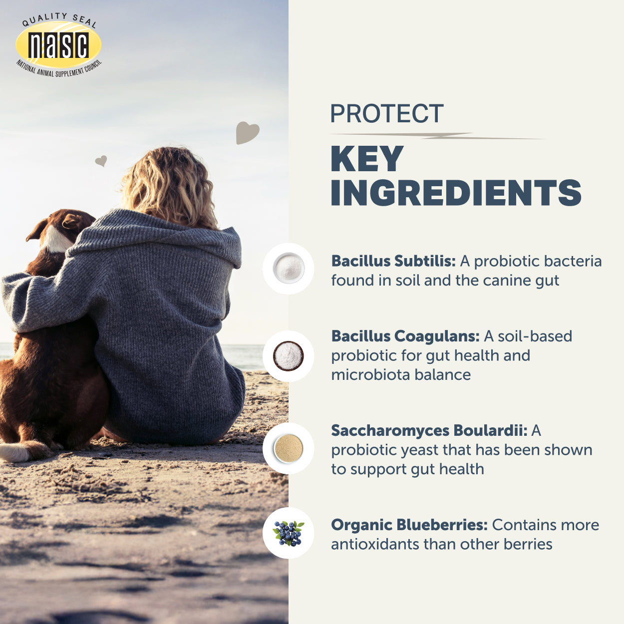 Key ingredients and NASC quality seal of Four Leaf Rover Protect (soil-based probiotics for dogs) 