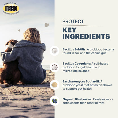 Key ingredients and NASC quality seal of Four Leaf Rover Protect (soil-based probiotics for dogs) 
