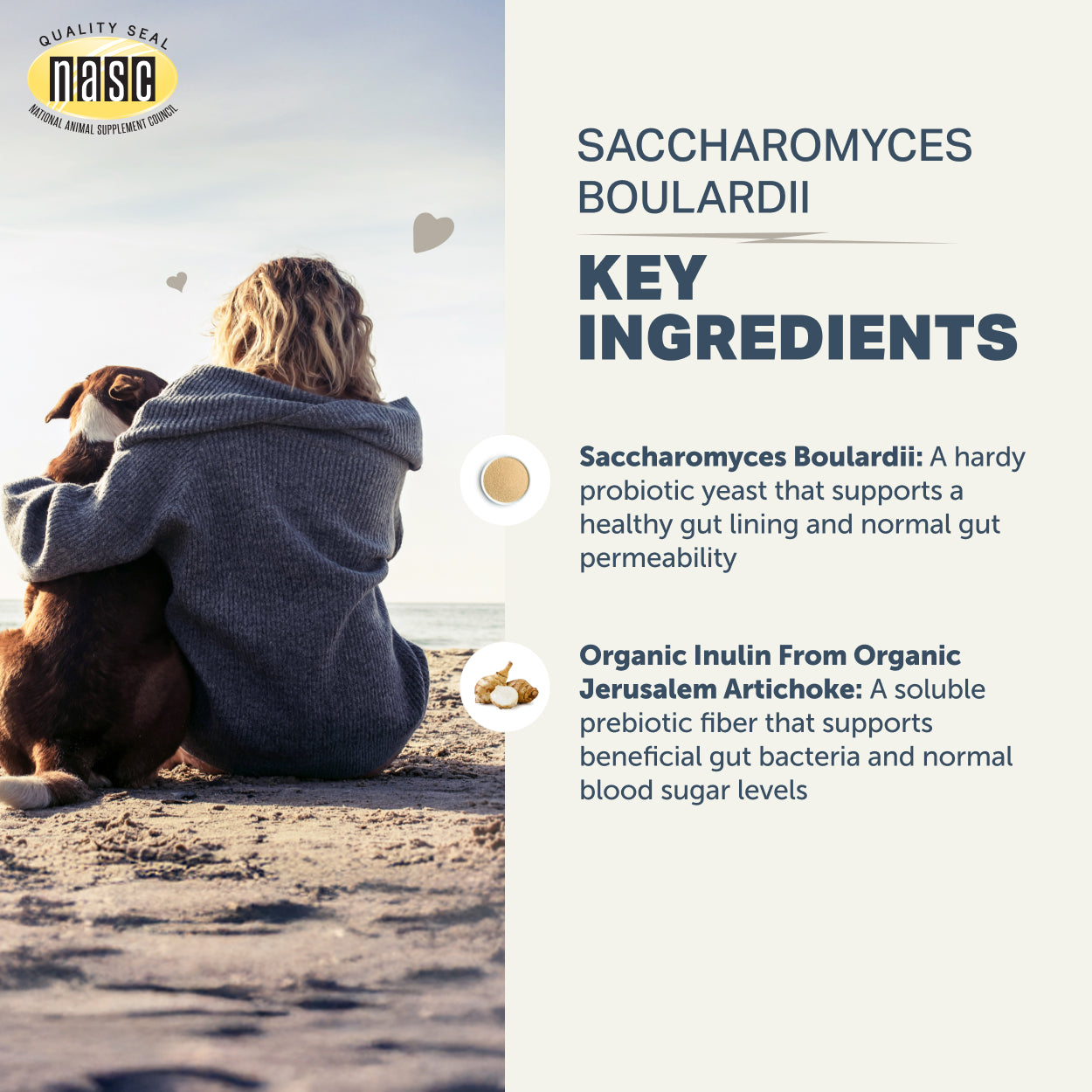 Person sitting on a beach with a dog, with NASC logo and key ingredients of Four Leaf Rover Saccharomyces Boulardii (probiotic yeast) dog supplement .