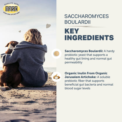 Person sitting on a beach with a dog, with NASC logo and key ingredients of Four Leaf Rover Saccharomyces Boulardii (probiotic yeast) dog supplement .