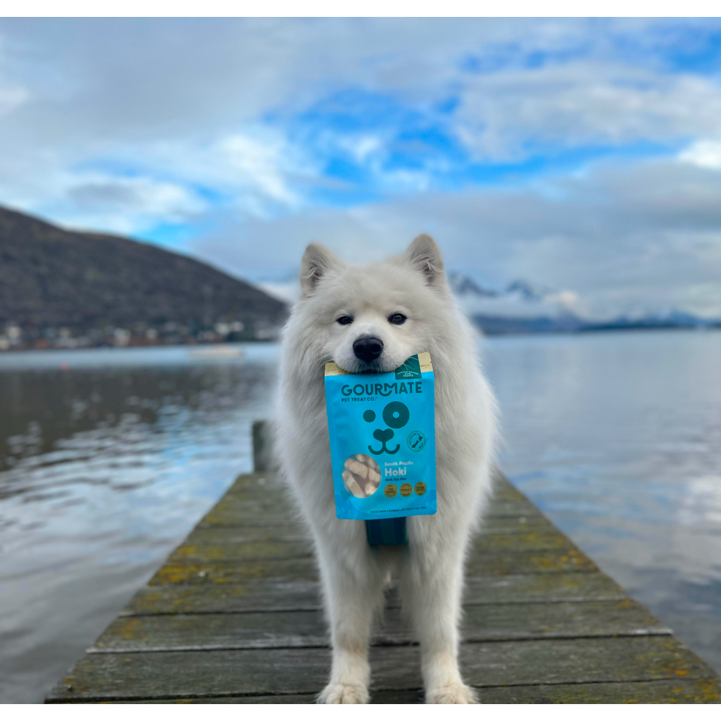 Gourmate South Pacific Hoki fish treat for dogs