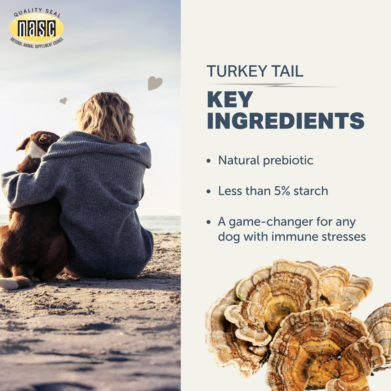 Person and dog sitting on a beach with NASIC logo, Turkey Tail Mushrooms by Four Leaf Rover image, and text about key ingredients.
