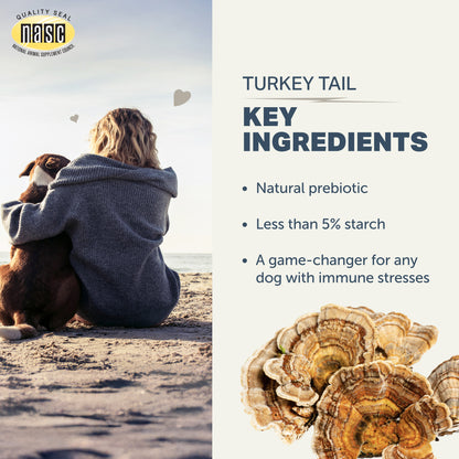 Person and dog sitting on a beach with NASIC logo, Turkey Tail Mushrooms by Four Leaf Rover image, and text about key ingredients.