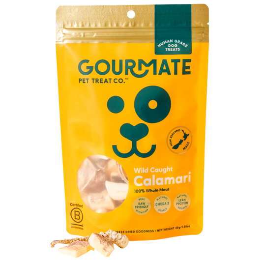Gourmate Wild Caught Calamari natural dog seafood treat, package front