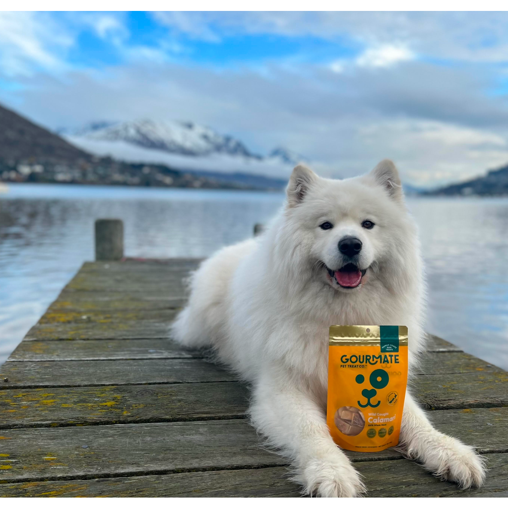 Gourmate Wild Caught Calamari natural dog seafood treat